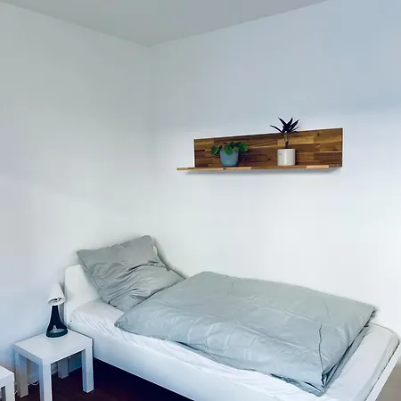 Apartment Frisch Renovierte Mit Balkon In Zentraler Lage